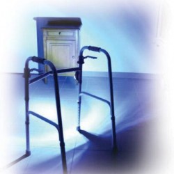 Lens for Walkers Bacteria and Sticks Herdegen 0805227