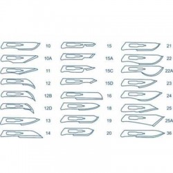 Paramount Scalpel Medical No24 PCS24