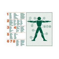 Elastic Net Bandage 25m Bastos Viegas